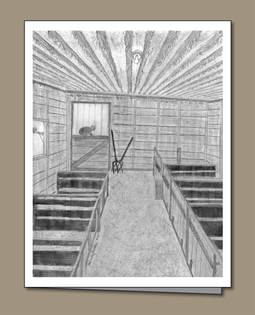 321-cat-in-calf-shed