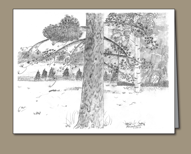 523-northwoods-lake-view