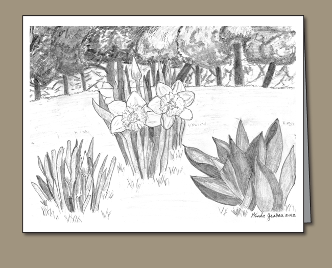 542-daffodils