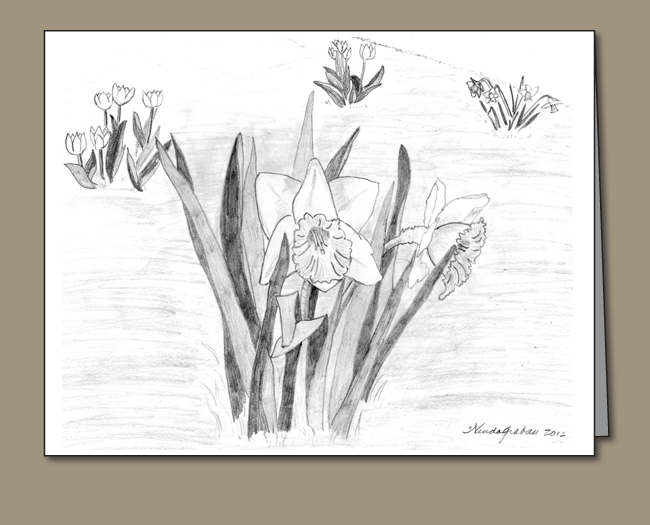 543-daffodils-and-tulips