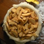 Typical Desserts on the Farm: Pie