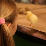 The Day Children Anticipate with Delight