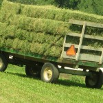 It’s Haying Time Again