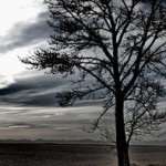 Dormant to Enriched