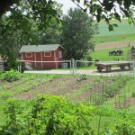 The Garden