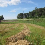 Oat Harvest: Part 1