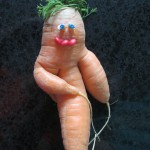 An Afternoon with a Carrot