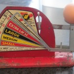 Egg Scale
