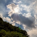 Bring Out The Sun