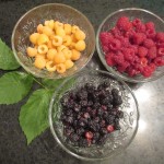 Raspberry Harvest